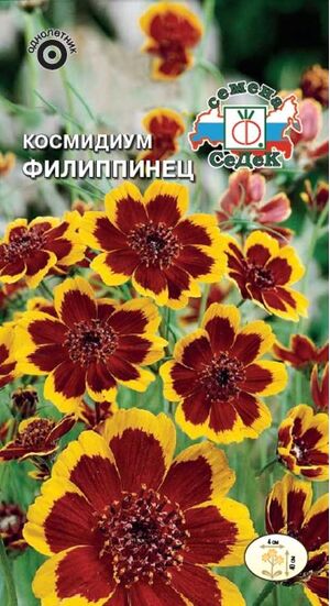 Космидиум Филиппинец Седек
