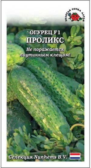 Огурец Проликс F1 Золотая Сотка Алтая