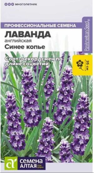 Лаванда Синее копье узколистная Семена Алтая