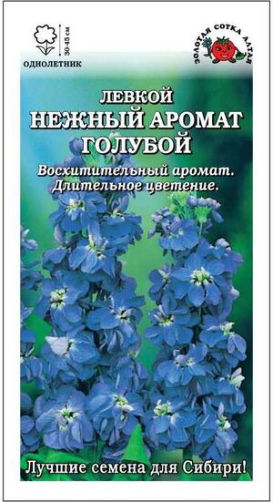 Левкой Нежный Аромат голубой Золотая Сотка Алтая