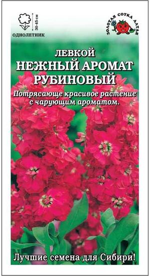 Левкой Нежный Аромат рубиновый Золотая Сотка Алтая