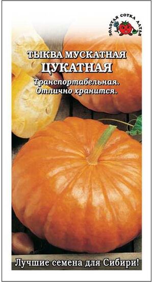 Тыква Цукатная мускатная Золотая Сотка Алтая