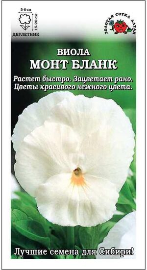 Виола Монт бланк Золотая Сотка Алтая