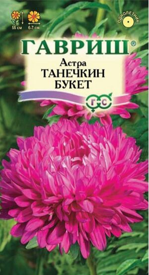 Астра Танечкин Букет однолетняя карминовый Гавриш