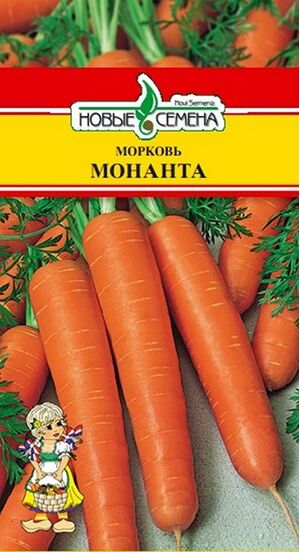 Морковь Монанта Новые Семена
