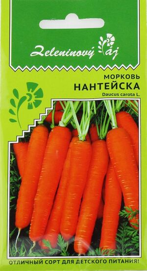 Морковь Нантейска  Уральский Дачник