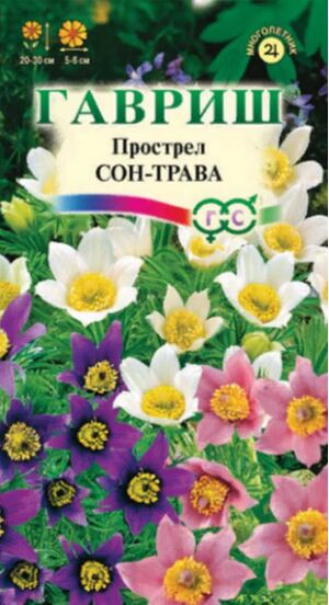 Прострел Сон-Трава смесь Гавриш