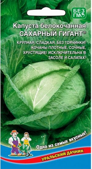 Капуста Сахарный Гигант Уральский Дачник