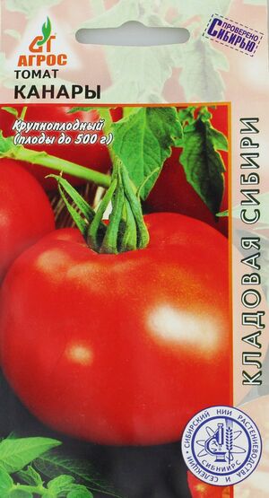 Томат Канары Агрос