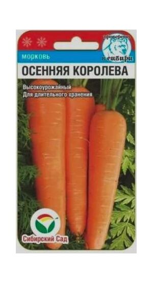 Морковь Осенняя Королева Сибирский Сад