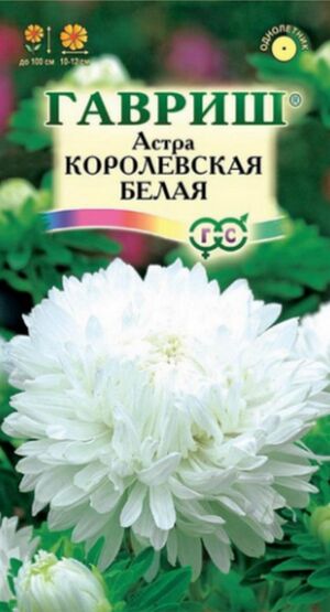 Астра Королевская Белая пионовидная Гавриш
