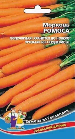 Морковь Ромоса Уральский Дачник