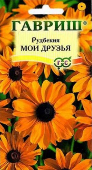 Рудбекия Мои Друзья волосистая Гавриш