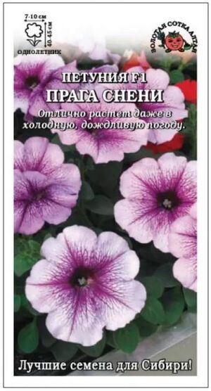 Петуния Прага Снени F1 Золотая Сотка Алтая