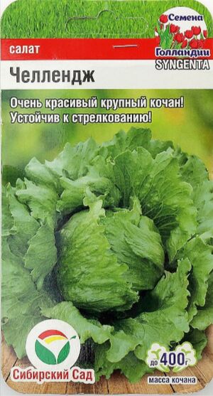Салат Челлендж Сибирский Сад