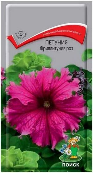 Петуния Фриллитуния Роз бахромчатая Поиск