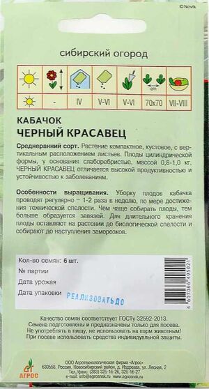 Кабачок Черный Красавец  Агрос описание