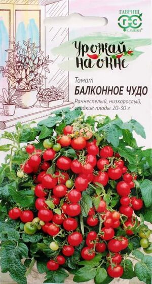 Томат Балконное Чудо серия Урожай на окне Гавриш