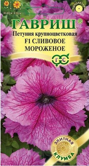 Петуния Мороженое Сливовое F1 серия Элитная клумба Гавриш