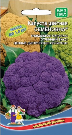 Капуста Семеновна цветная Уральский Дачник