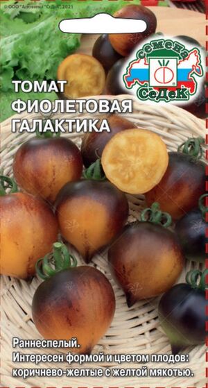 Томат Фиолетовая Галактика Седек
