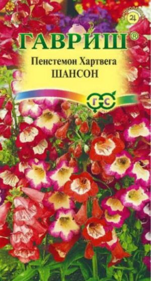Пенстемон Хартвега Шансон смесь Гавриш