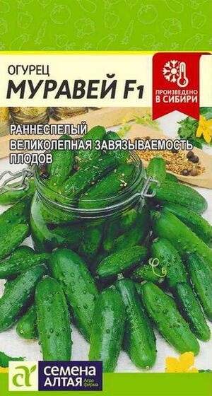 Огурец Муравей F1 Семена Алтая