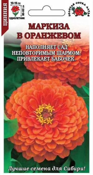 Цинния Маркиза в Оранжевом Золотая Сотка Алтая