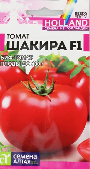 Томат Шакира F1 серия Голландские Семена Семена Алтая
