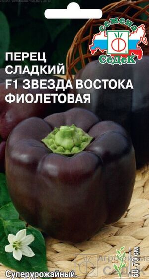 Перец Звезда Востока Фиолетовая F1 Седек