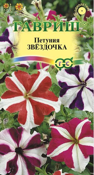 Петуния Звездочка, смесь многоцветковая Гавриш