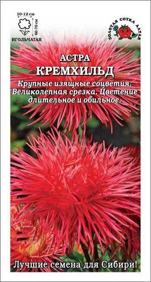 Астра Кремхильд Золотая Сотка Алтая