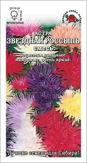 Астра Звездная Россыпь Золотая Сотка Алтая