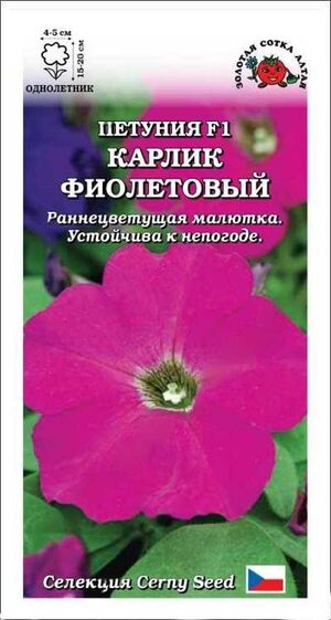 Петуния Карлик Фиолетовый F1 Золотая Сотка Алтая