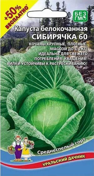 Капуста Сибирячка 60 белокочанная 0,5 гр. серия +50% бесплатно Уральский Дачник