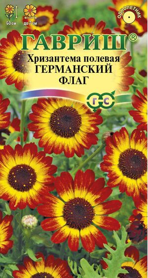 Хризантема Германский Флаг Гавриш