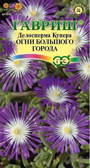 Делосперма обильноцветущая Огни большого города, гранулы пробирка Гавриш