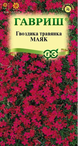 Гвоздика Травянка Маяк Гавриш