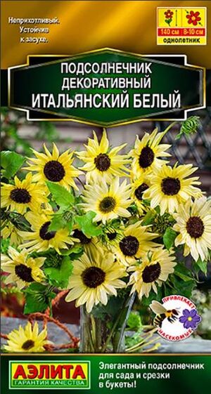 Подсолнечник Итальянский Белый Аэлита