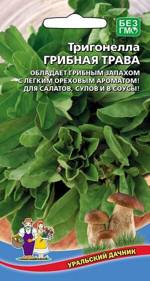 Тригонелла Грибная Трава Уральский Дачник