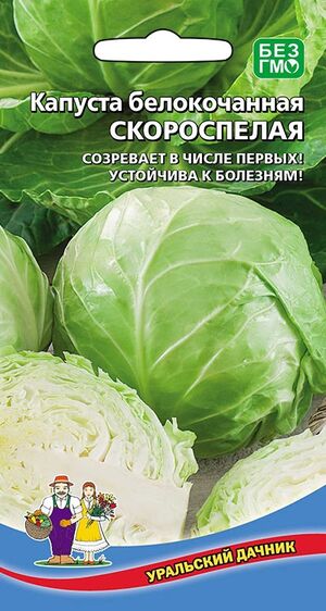 Капуста Скороспелая белокочанная  Уральский Дачник