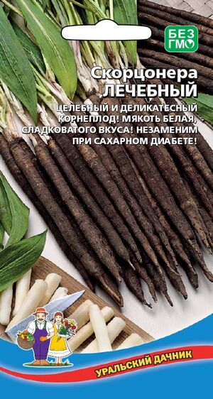 Скорцонера Лечебный Уральский Дачник