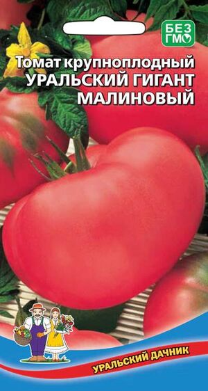 Томат Уральский Гигант Малиновый крупноплодный Уральский Дачник
