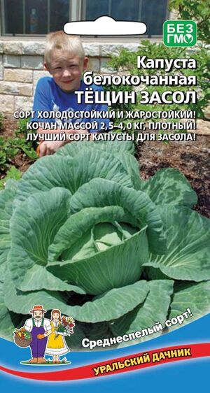 Капуста Тещин засол белокочанная  Уральский Дачник