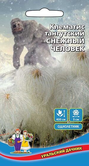 Клематис Тангутский Снежный Человек Уральский Дачник