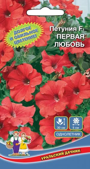 Петуния Первая Любовь F1 Уральский Дачник