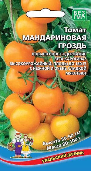Томат Мандариновая Гроздь Уральский Дачник