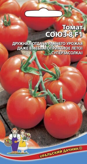 Томат Союз 8 Уральский Дачник