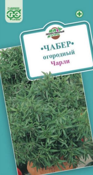 Чабер Садовый Чарли Гавриш