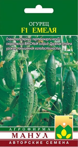 Огурец Емеля F1 Манул